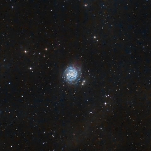 NGC3344