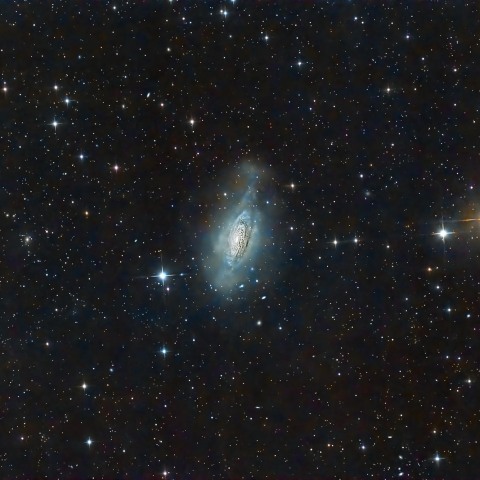 NGC3521