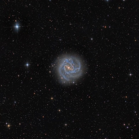 M 83 (NGC 5236)