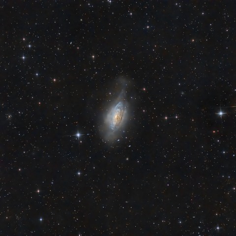 NGC3521