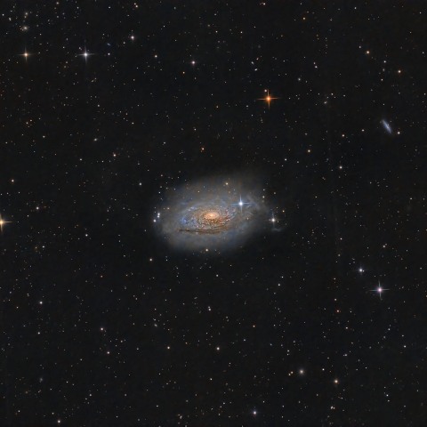 M63 (NGC5055)