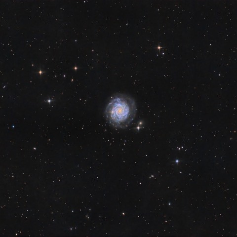 NGC3344