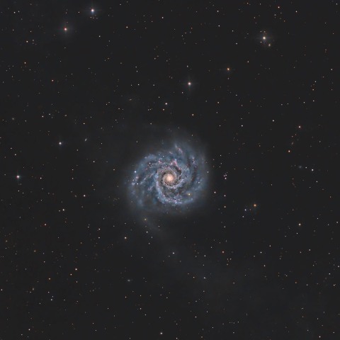 M74(NGC628)