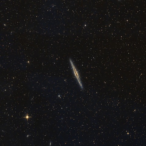 NGC891