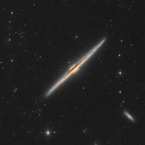NGC4565