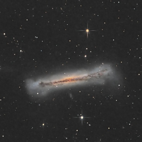 NGC3628