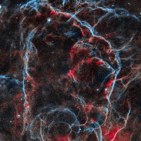 Vela Supernova Remnant