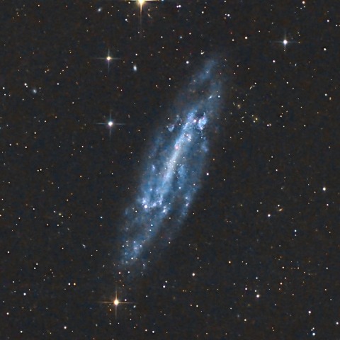 NGC4236