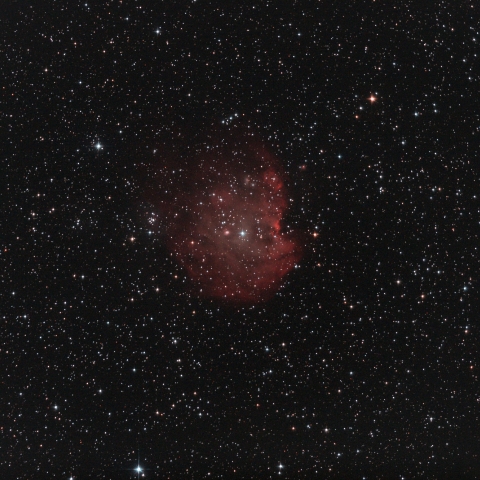 NGC2174　モンキー星雲