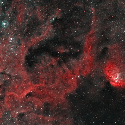 Tulip Nebula and Environment