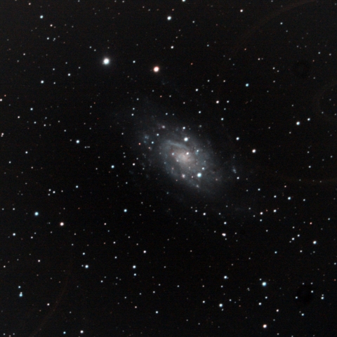 NGC 2403