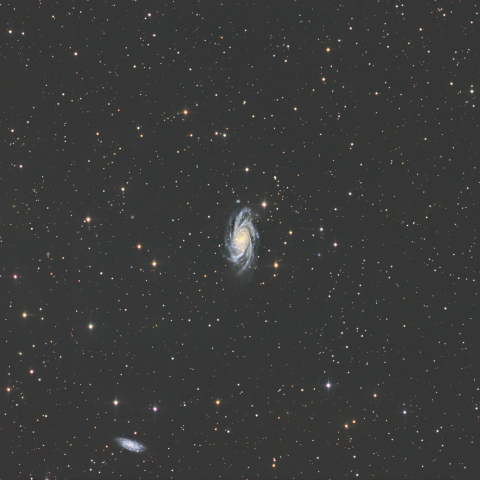NGC2336