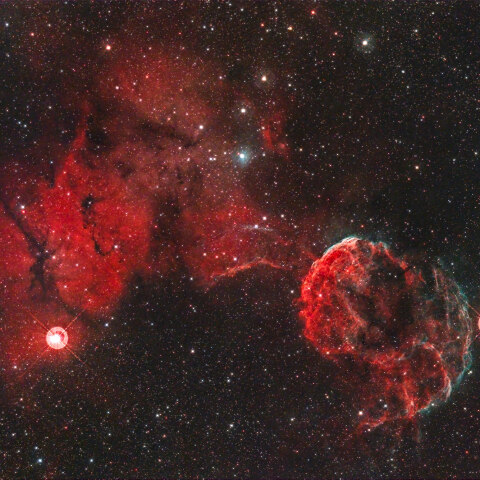 IC443 & IC444