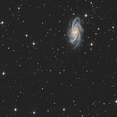 NGC2336 ＆ IC0467