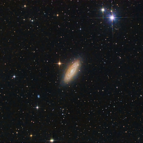 NGC2841