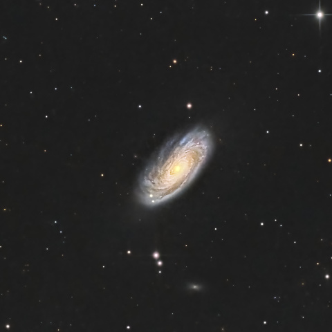 M88(NGC4501)