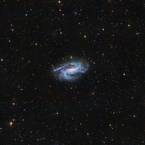NGC925