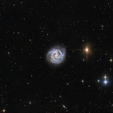 NGC3184