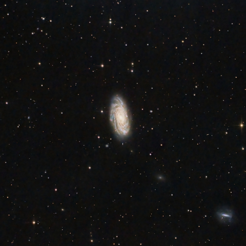 NGC3953