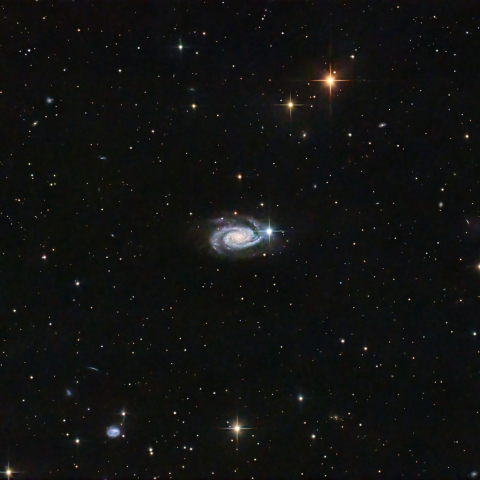 NGC3338