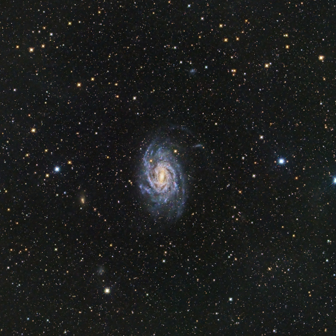 NGC6744 Galaxy in Pavo