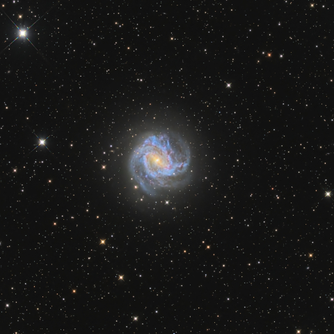 M83, NGC 5236, Southern Pinwheel