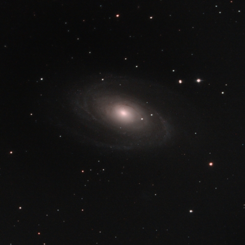 M81