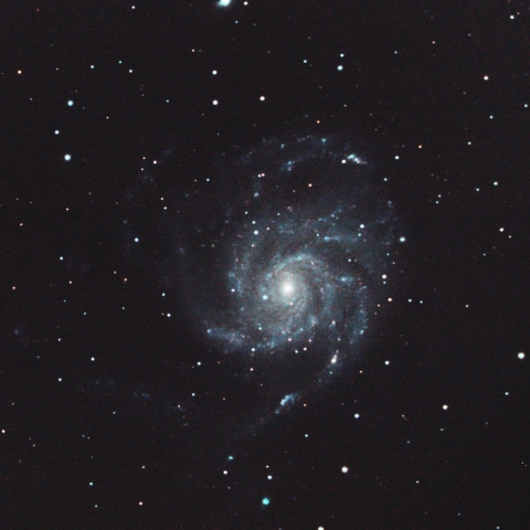 M101