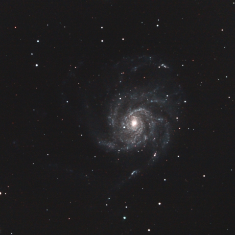 M101