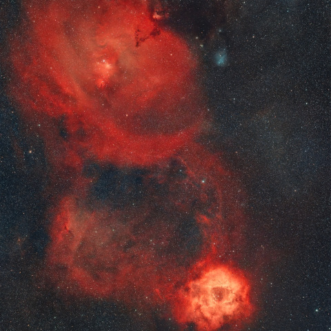 NGC2237、NGC2264、NGC2169