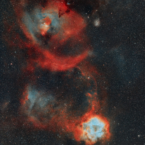NGC2237、NGC2264、NGC2169