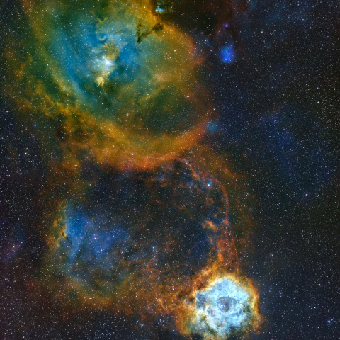 NGC2237、NGC2264、NGC2169