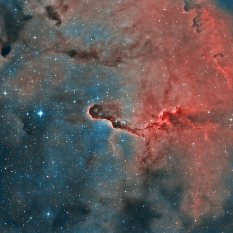 IC 1396 – Elephant’s Trunk Nebula