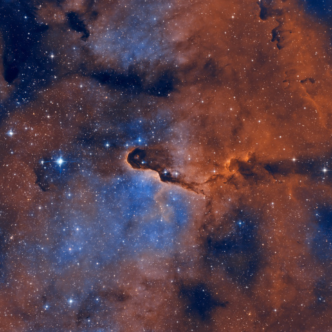 IC 1396 – Elephant’s Trunk Nebula