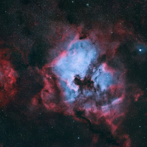 NGC7000 & Sh2-119