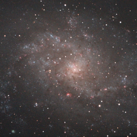 M33