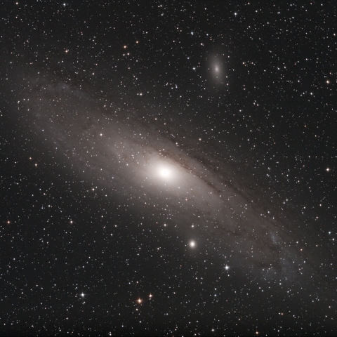 M31