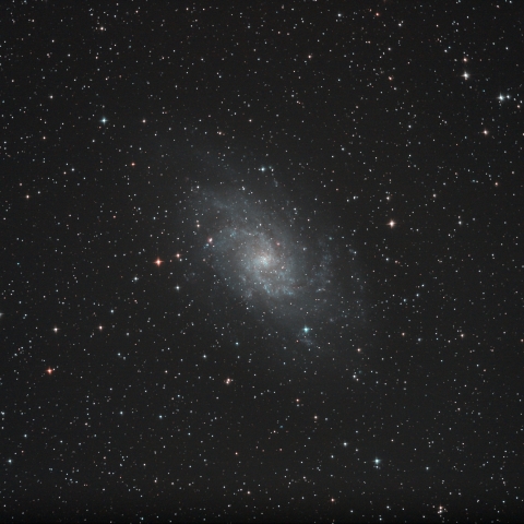 M33