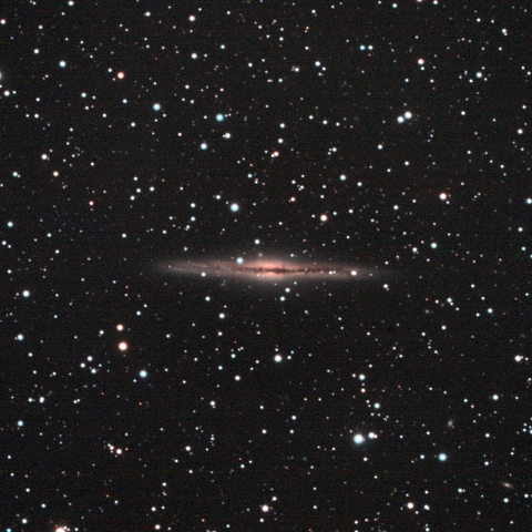 NGC891