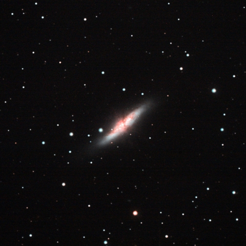 M82