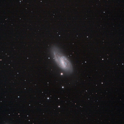 M66