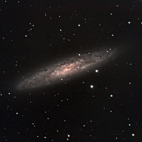 NGC253