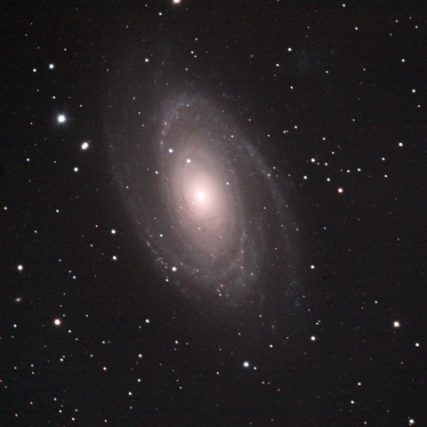 M81