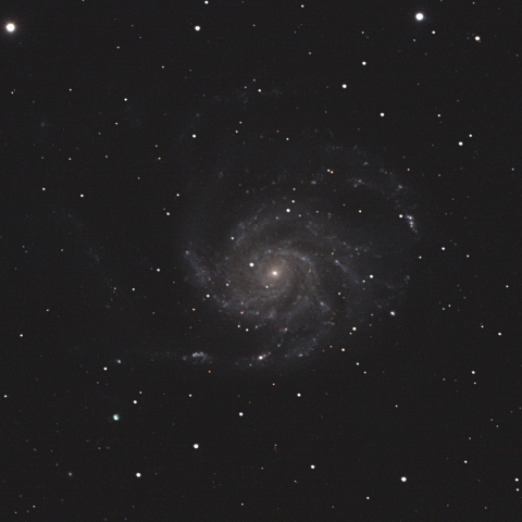 M101