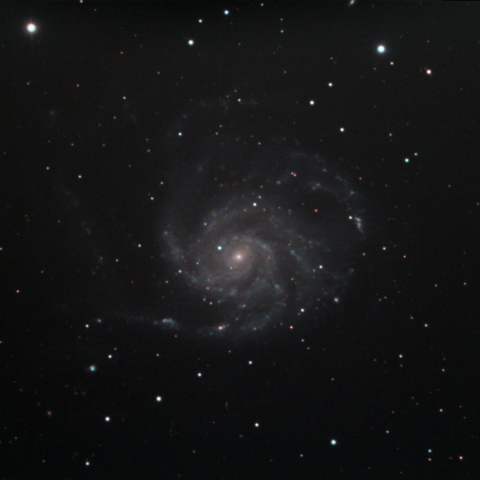 M101
