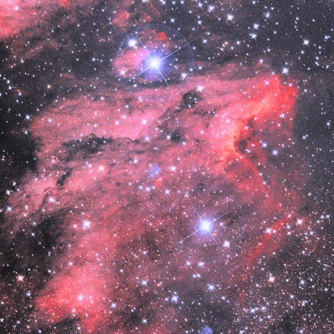 ペリカン星雲