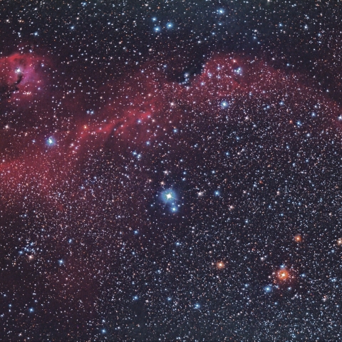 IC2177