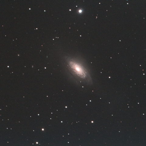 NGC3521