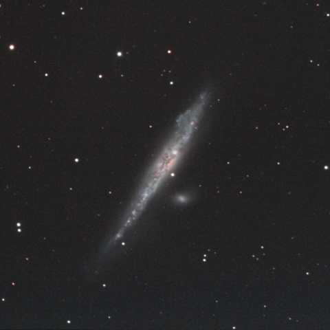 NGC4631
