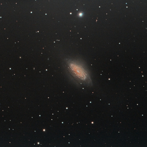 NGC3521